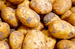 Продукты, помогающие избавиться от головной боли